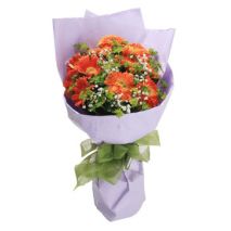 Send Dozen Orange Gerberas to Dhaka in Bangladesh