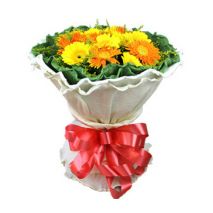 Send 19 Gerberas with Solidago to Dhaka in Bangladesh