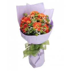 Send Dozen Orange Gerberas to Dhaka in Bangladesh