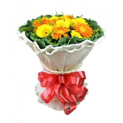 Send 19 Gerberas with Solidago to Dhaka in Bangladesh