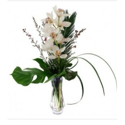 Send Cymbidium Orchids to Dhaka in Bangladesh