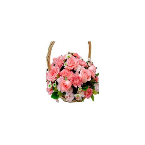 Send Carnations Basket to Dhaka in Bangladesh