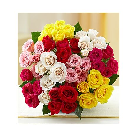 48 Mixed Color Roses Bouquet