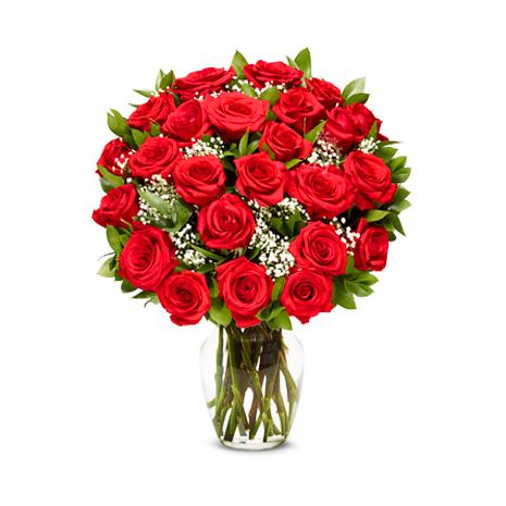 Two Dozen Premium Long Stem Red Roses