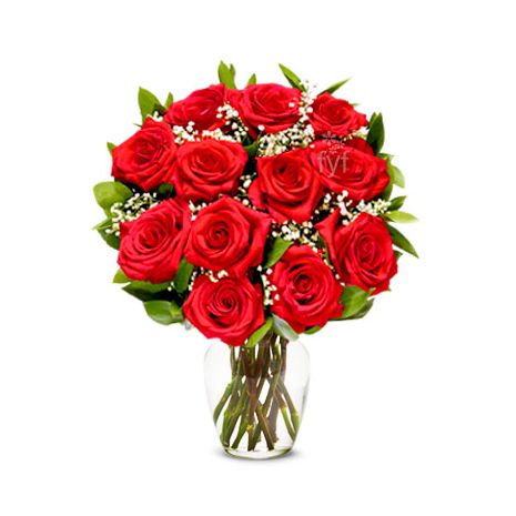 Send One Dozen Premium Long Stem Red Roses to Dhaka in Bangladesh