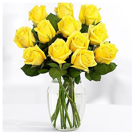 Send One Dozen Long Stemmed Yellow Roses in FREE vase to Dhaka in bangladesh