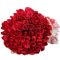 send 50 beautiful red roses in bouquet to dhaka